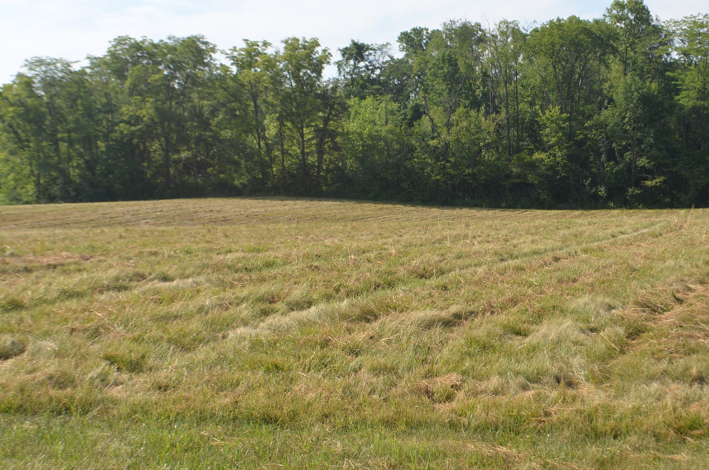 Property photo 16 - REAL ESTATE AUCTION - 26+/- ACRES IN 3 TRACTS IN SOUTHWEST ALLEN COUNTY, INDIANA